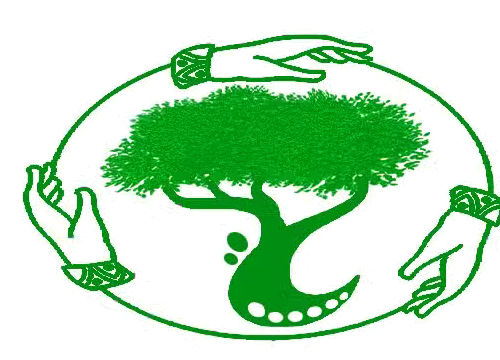 SEC Namibia logo